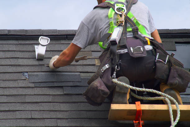 Best Metal Roofing Installation  in Breese, IL