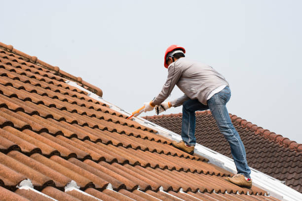 Best Storm Damage Roof Repair  in Breese, IL