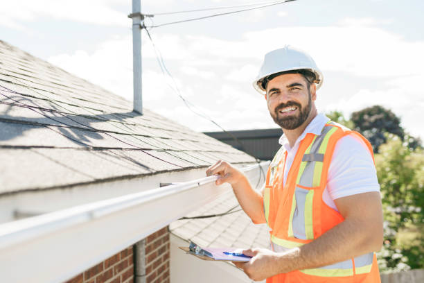 Best Solar Panel Roofing Installation  in Breese, IL