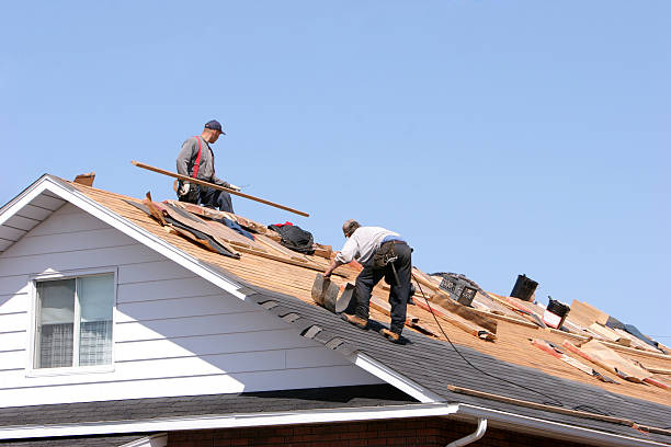Best Roof Leak Repair  in Breese, IL